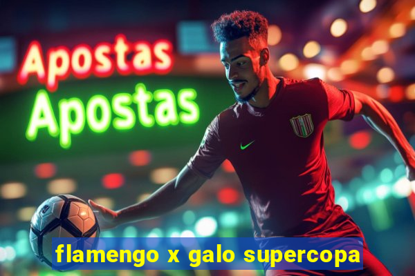 flamengo x galo supercopa